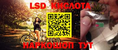 эйфоретик Краснознаменск